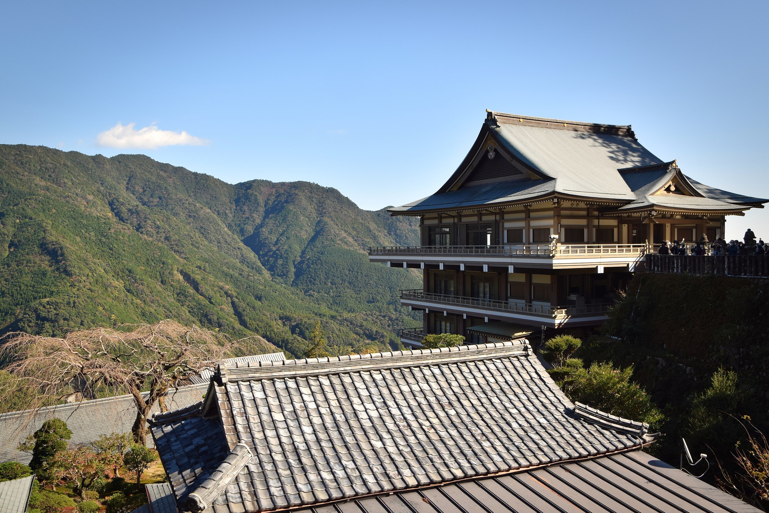 Kumano Kodo Nakahechi