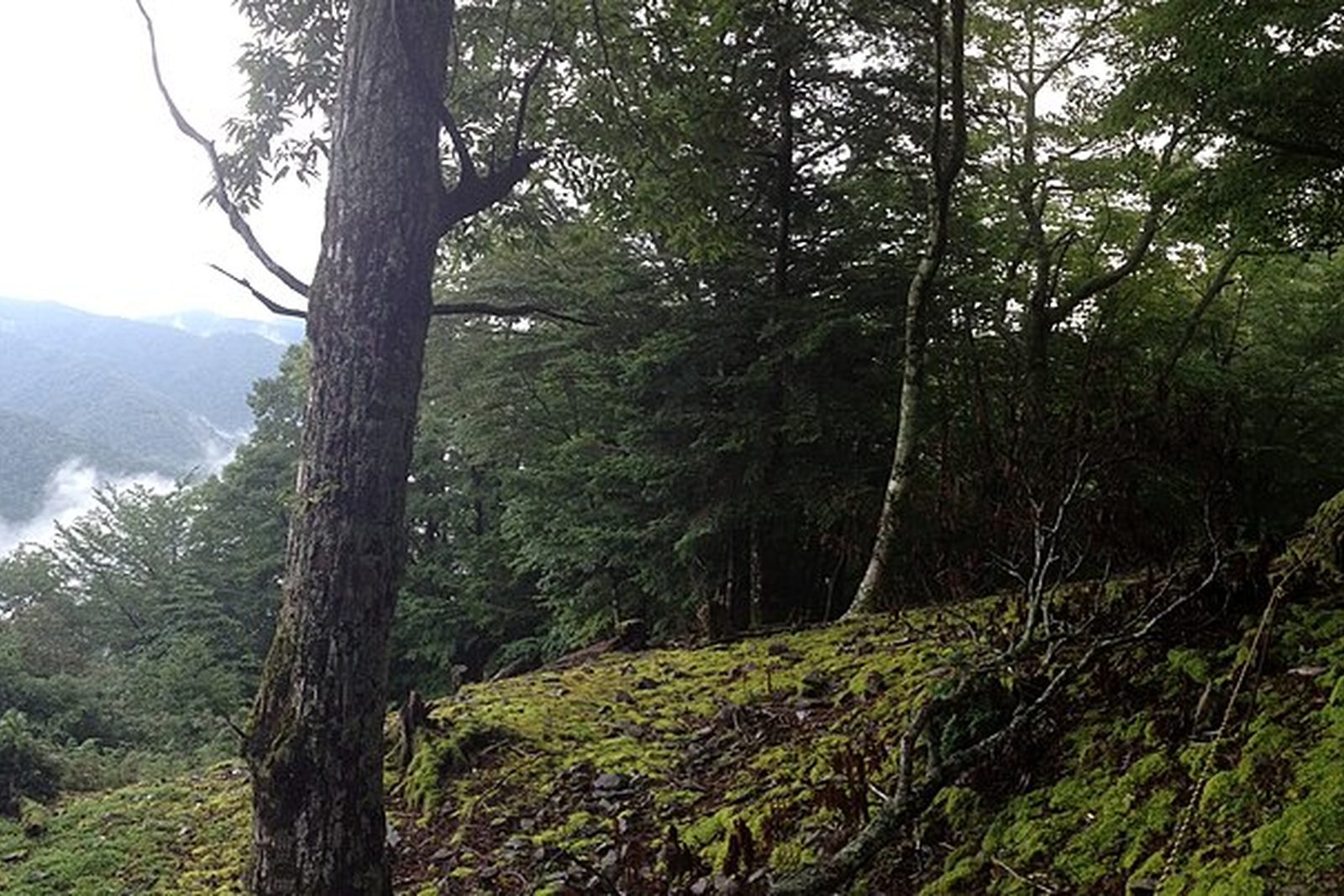 Kumano Kodo Nakahechi